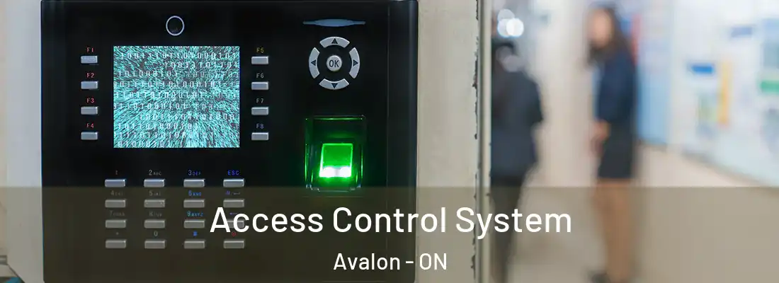  Access Control System Avalon - ON