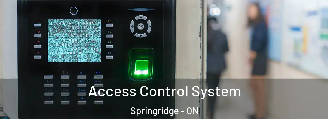  Access Control System Springridge - ON