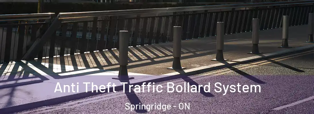  Anti Theft Traffic Bollard System Springridge - ON