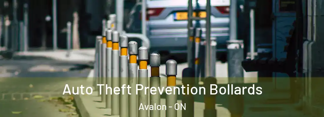  Auto Theft Prevention Bollards Avalon - ON