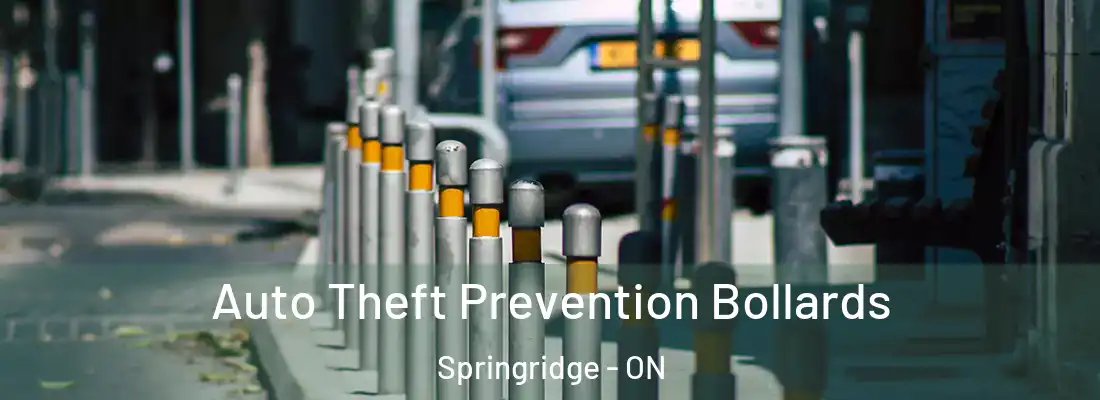  Auto Theft Prevention Bollards Springridge - ON