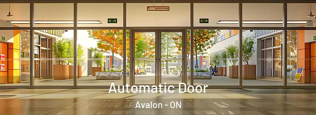  Automatic Door Avalon - ON