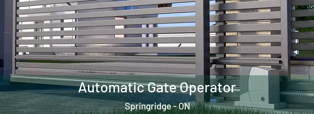  Automatic Gate Operator Springridge - ON