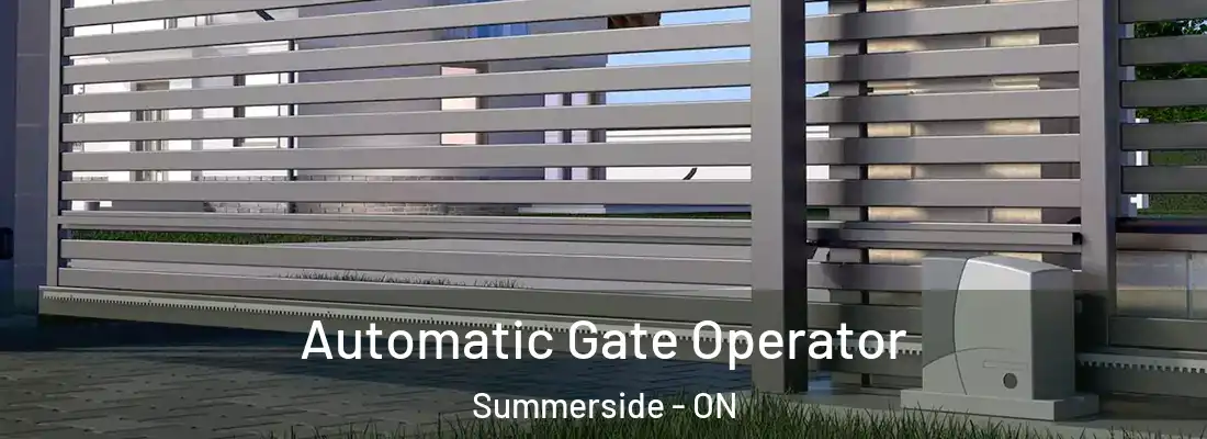  Automatic Gate Operator Summerside - ON