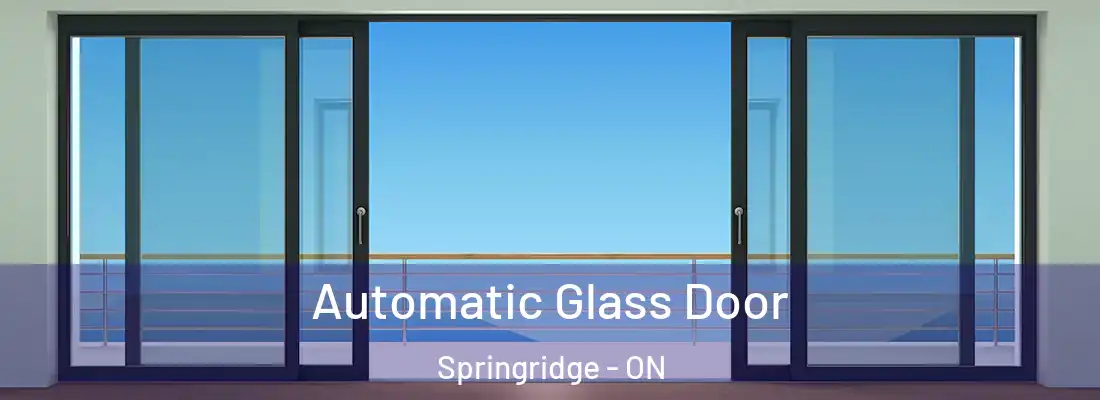  Automatic Glass Door Springridge - ON