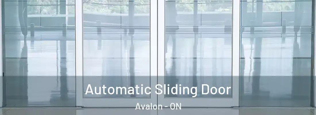  Automatic Sliding Door Avalon - ON