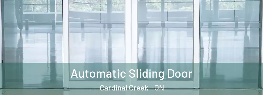  Automatic Sliding Door Cardinal Creek - ON