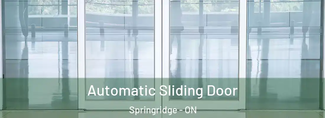  Automatic Sliding Door Springridge - ON