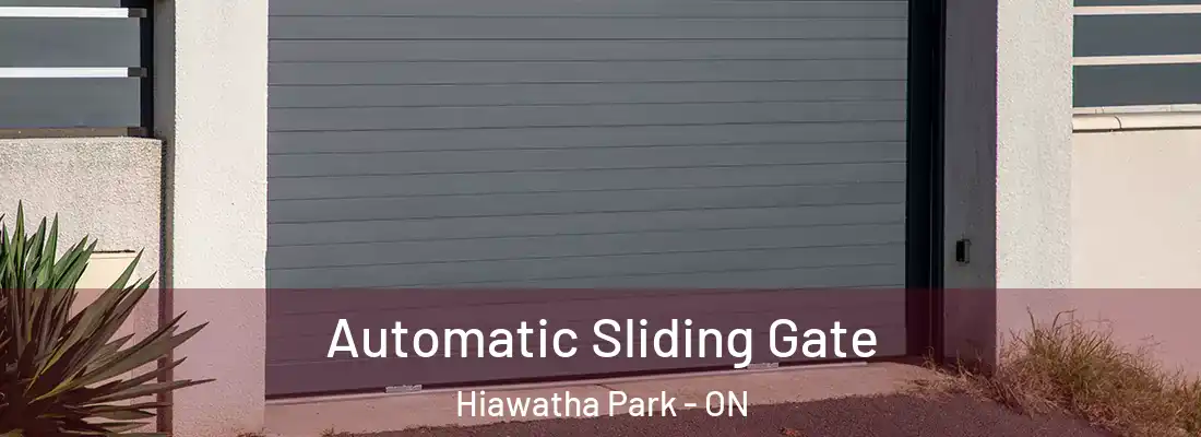  Automatic Sliding Gate Hiawatha Park - ON