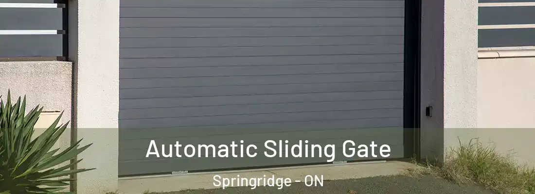  Automatic Sliding Gate Springridge - ON