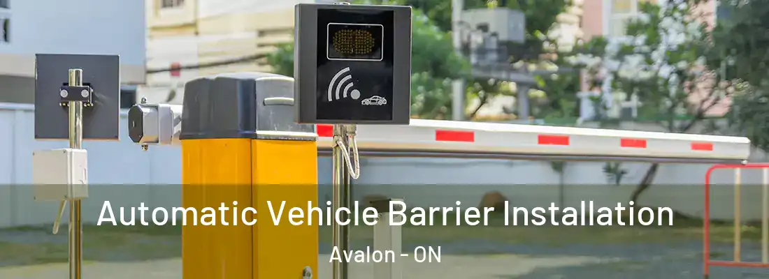  Automatic Vehicle Barrier Installation Avalon - ON