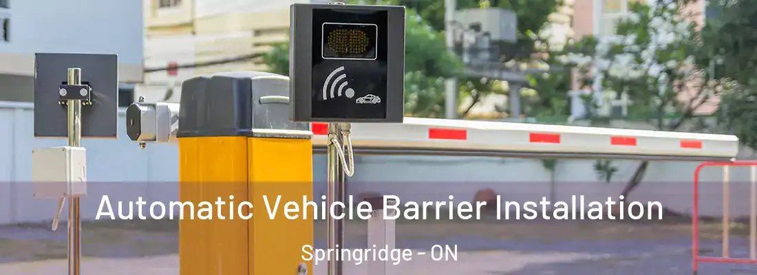  Automatic Vehicle Barrier Installation Springridge - ON