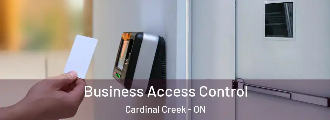  Business Access Control Cardinal Creek - ON