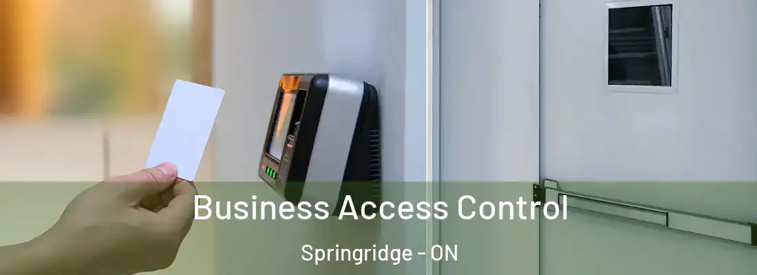  Business Access Control Springridge - ON