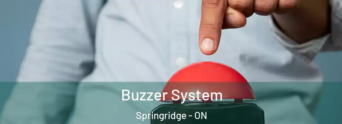  Buzzer System Springridge - ON