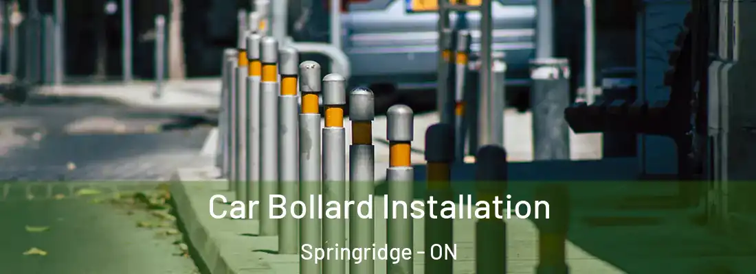  Car Bollard Installation Springridge - ON