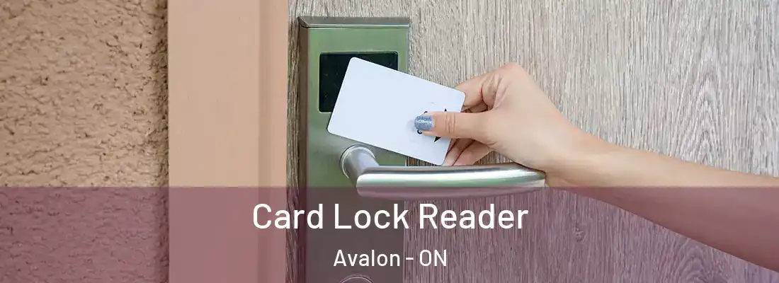  Card Lock Reader Avalon - ON