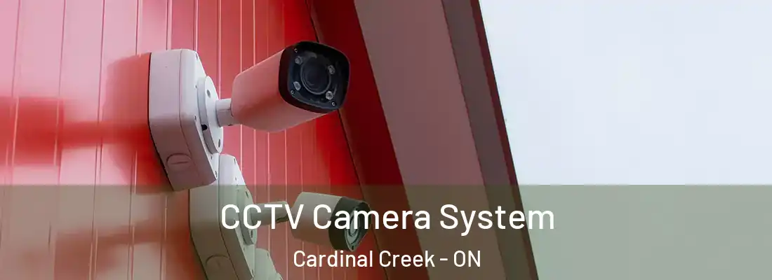  CCTV Camera System Cardinal Creek - ON