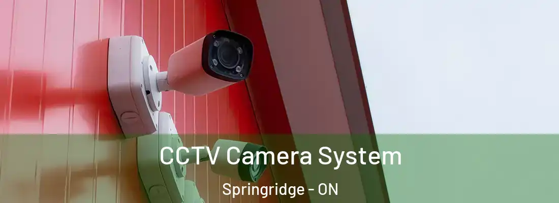  CCTV Camera System Springridge - ON