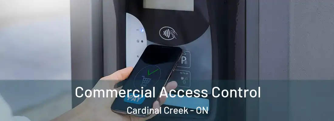  Commercial Access Control Cardinal Creek - ON