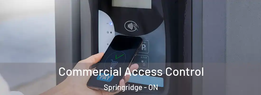  Commercial Access Control Springridge - ON
