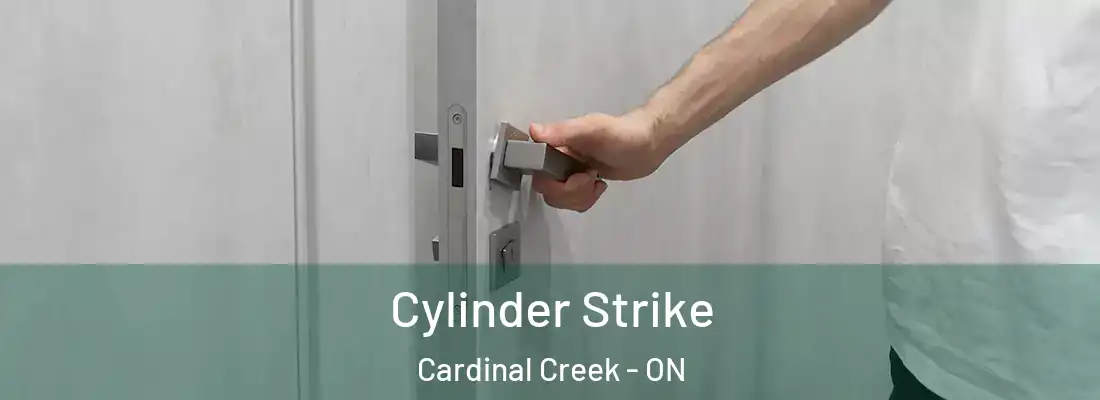  Cylinder Strike Cardinal Creek - ON