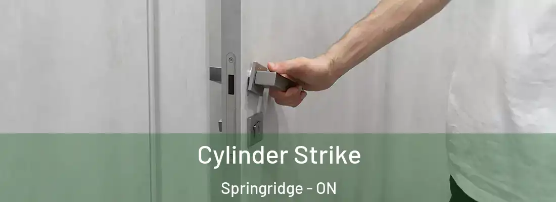  Cylinder Strike Springridge - ON