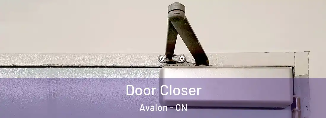  Door Closer Avalon - ON