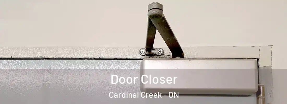  Door Closer Cardinal Creek - ON