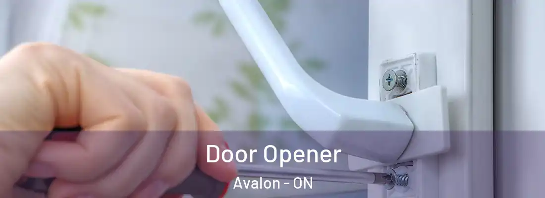  Door Opener Avalon - ON