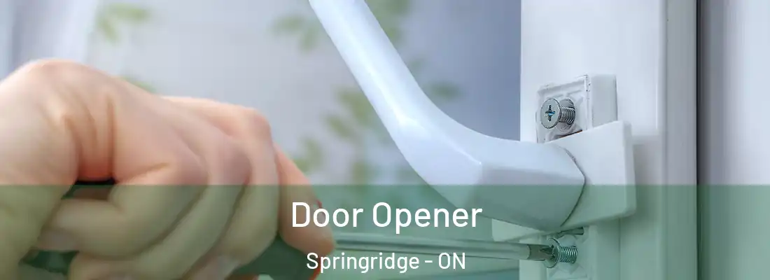  Door Opener Springridge - ON