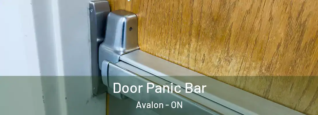  Door Panic Bar Avalon - ON