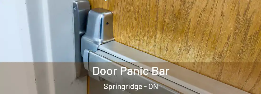  Door Panic Bar Springridge - ON