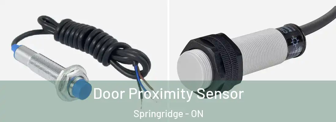  Door Proximity Sensor Springridge - ON