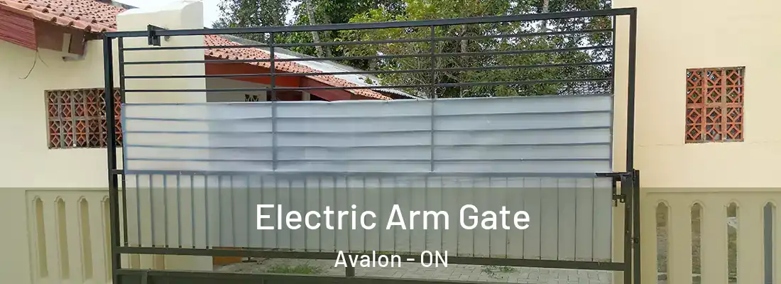  Electric Arm Gate Avalon - ON