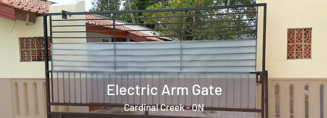  Electric Arm Gate Cardinal Creek - ON