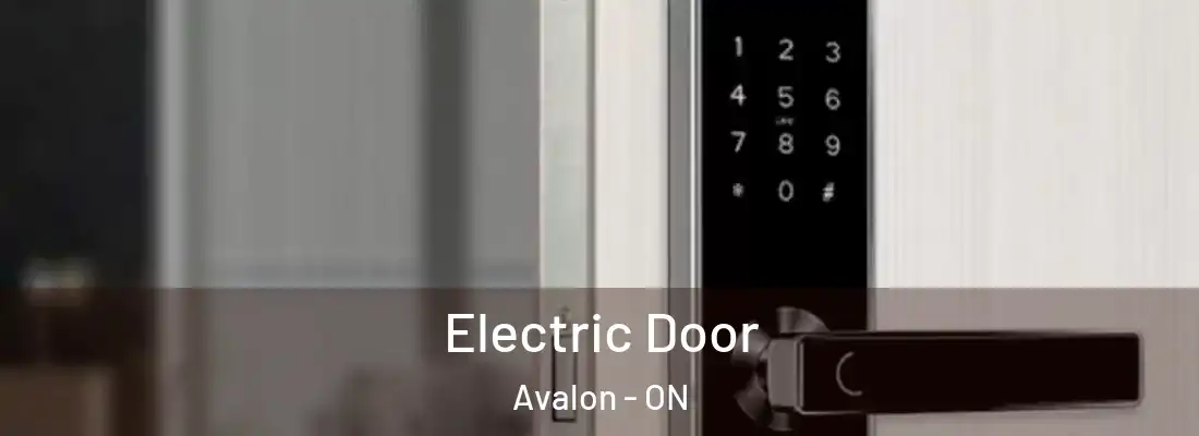  Electric Door Avalon - ON