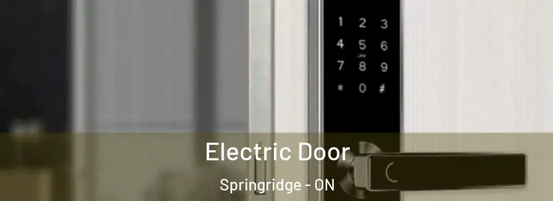  Electric Door Springridge - ON