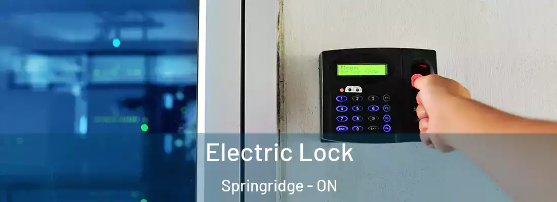 Electric Lock Springridge - ON