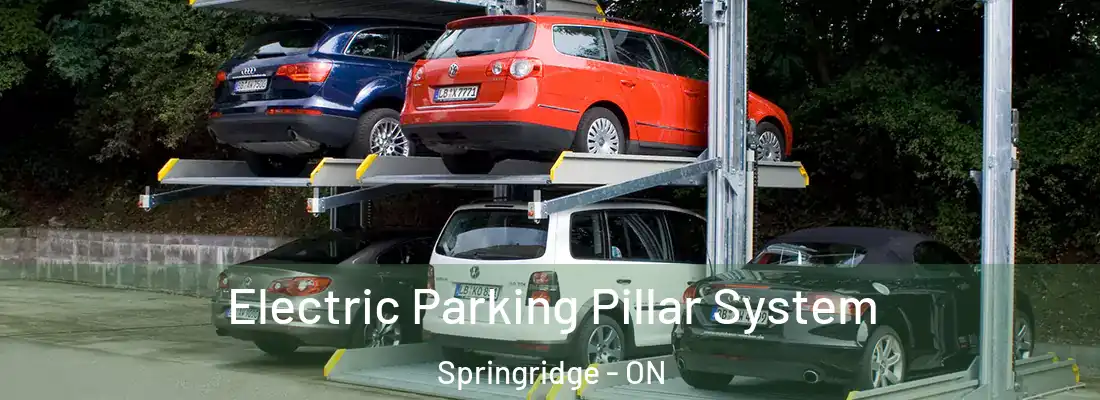  Electric Parking Pillar System Springridge - ON