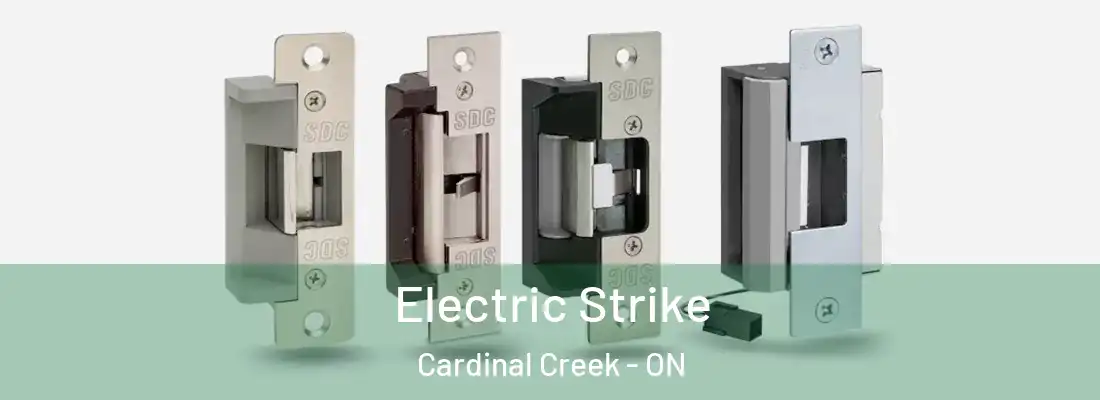  Electric Strike Cardinal Creek - ON