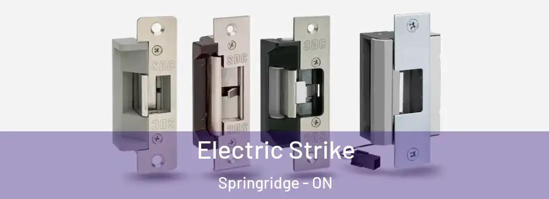  Electric Strike Springridge - ON