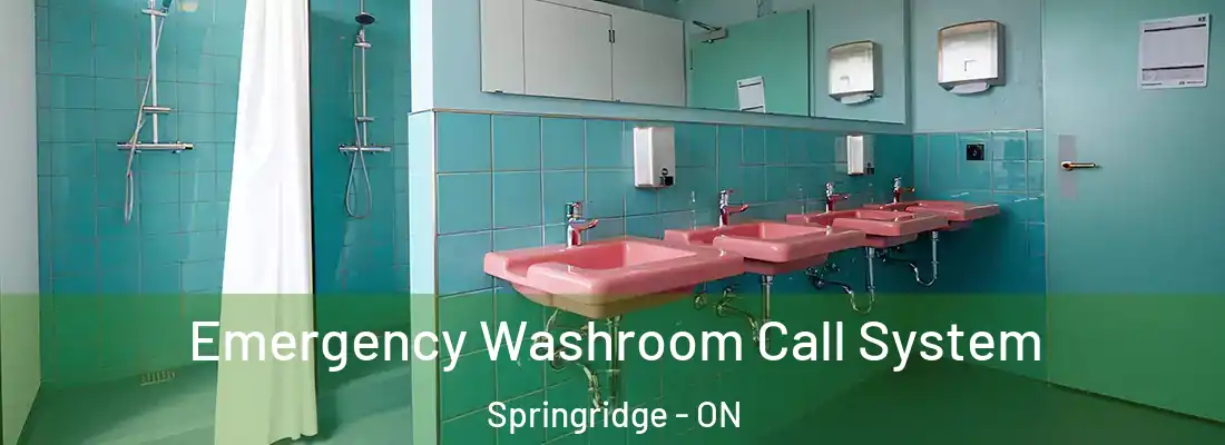 Emergency Washroom Call System Springridge - ON