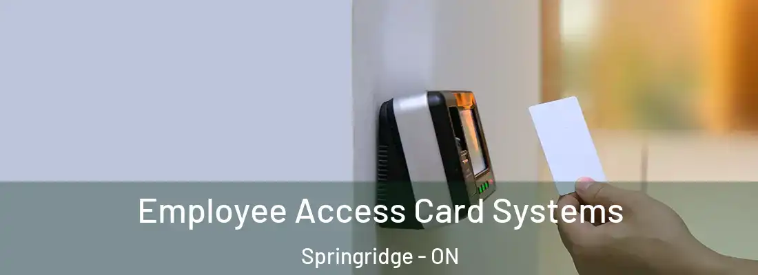  Employee Access Card Systems Springridge - ON