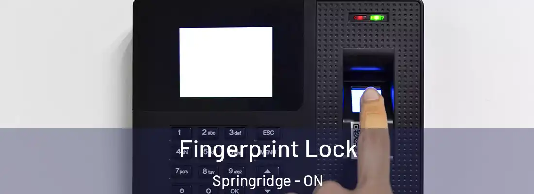  Fingerprint Lock Springridge - ON