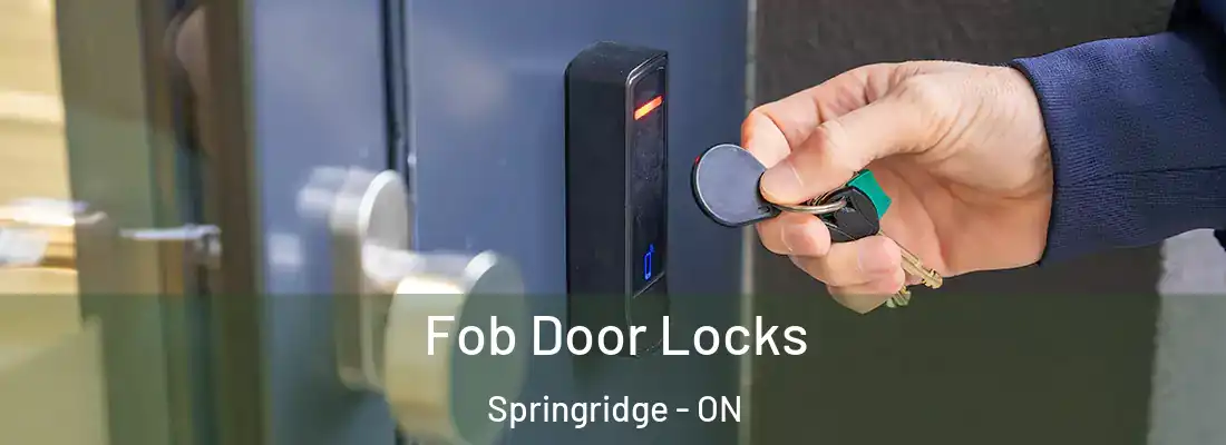  Fob Door Locks Springridge - ON