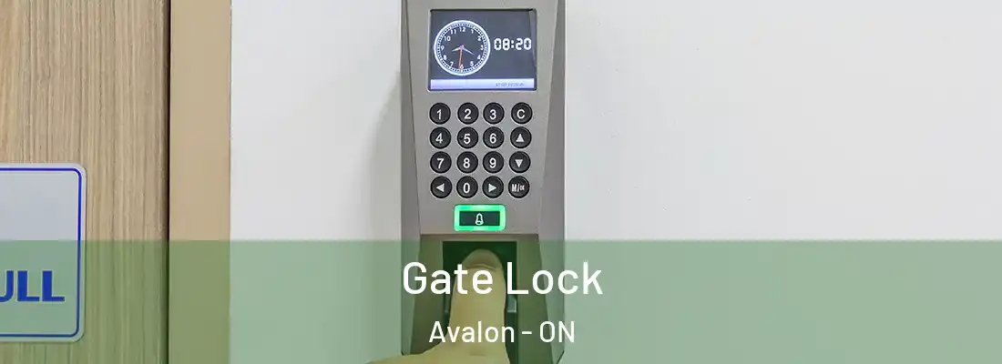  Gate Lock Avalon - ON