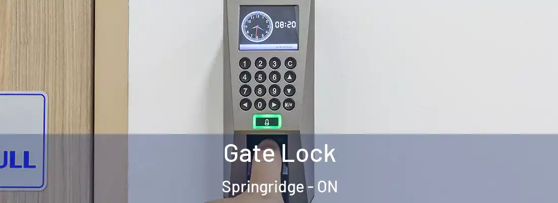  Gate Lock Springridge - ON