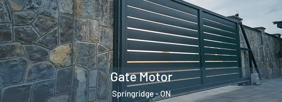  Gate Motor Springridge - ON
