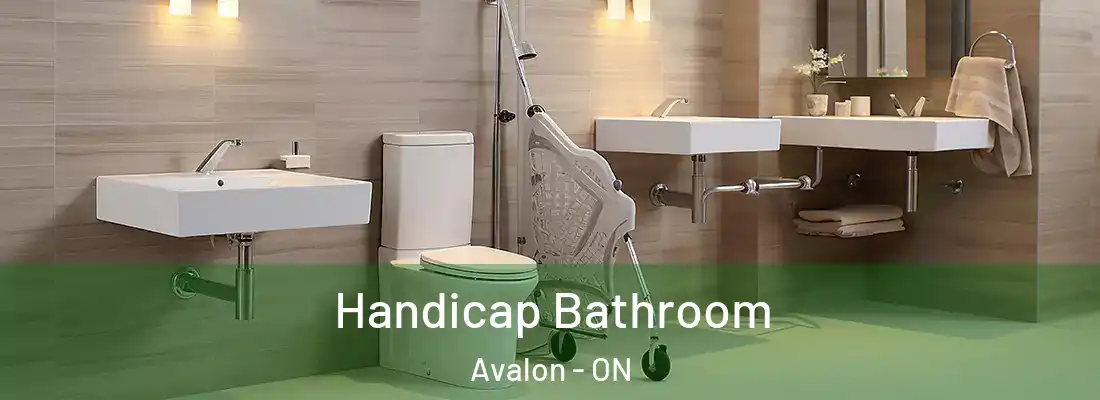  Handicap Bathroom Avalon - ON